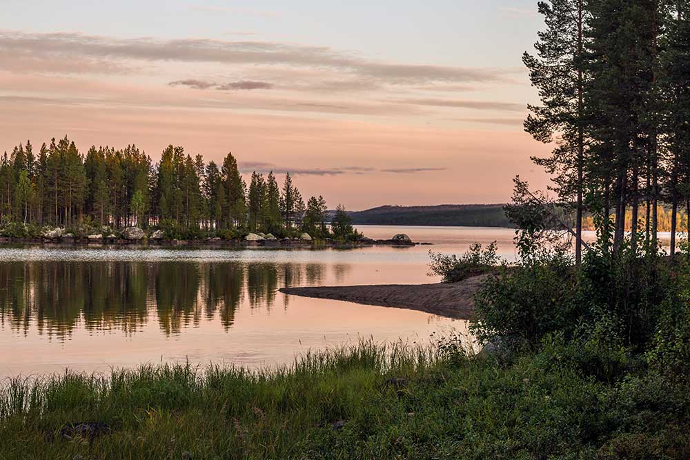 Lugn solnedgång över sumpmark med tallskog i Norrbotten